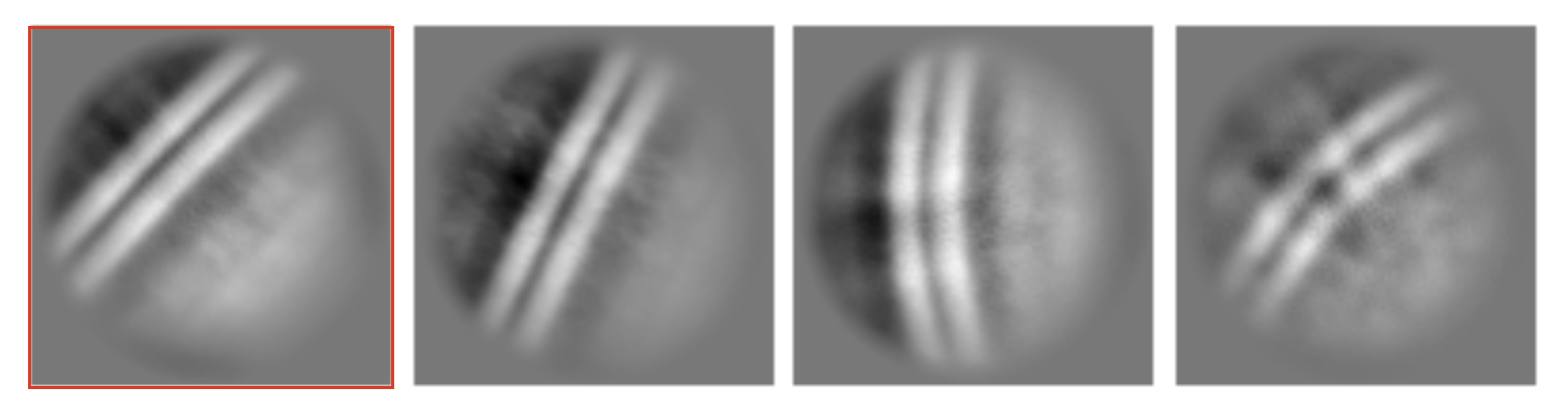 A typical biological membrane 2D average, choose the first one for analysis